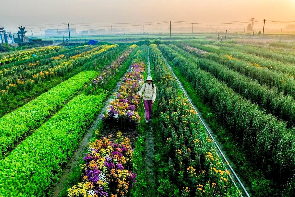 Experience Vietnam’s heritage with visa-extended tours